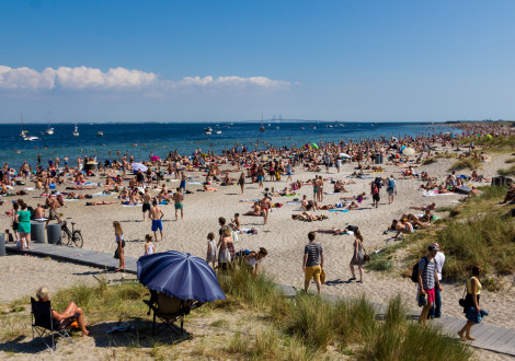 Guide 2023: De bedste restauranter tæt ved vandet i København med 1/3 skåret af prisen