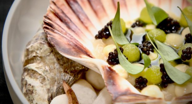 Guide 2023: Michelin-anbefalede restauranter med 1/3 skåret af prisen