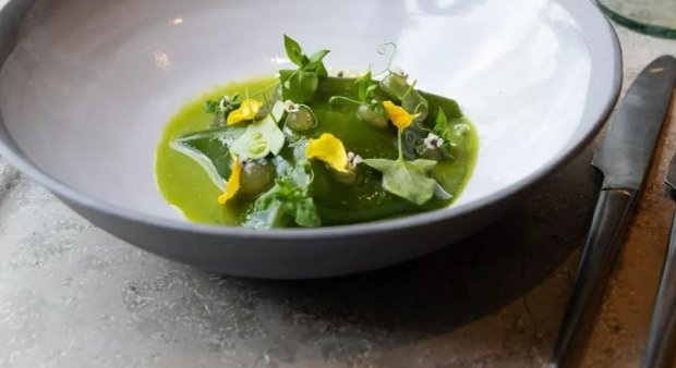 Guide 2023: Populære vegetar restauranter i København med 1/3 skåret af prisen